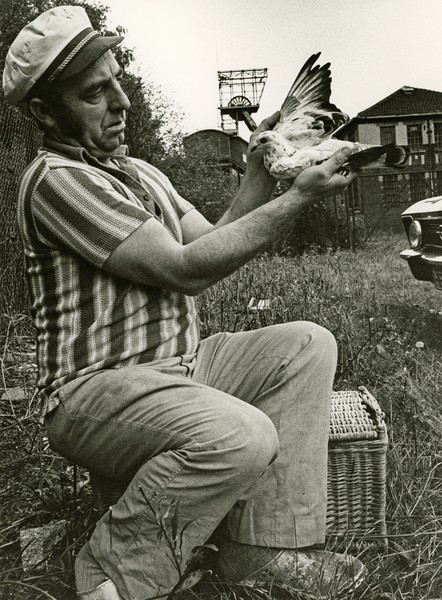 Taubenvater vor Zechenkulisse. Schwarz-Weiß-Foto aus den 1970er Jahren. Foto: Helmut Orwat